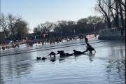 北京什刹海冰场有儿童落水，目击者：众人接力施救，孩子出来后围观群众集体鼓掌