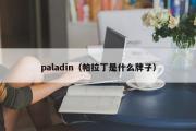 paladin（帕拉丁是什么牌子）