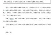中国中免总经理王轩辞职，去年年薪近500万元